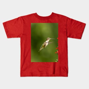 Ruby throated hummingbird Kids T-Shirt